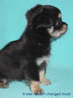 6 Weeks 6 Weeks