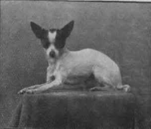 1910 from encyclopedia 1910 from encyclopedia