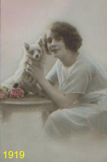 1919 1919