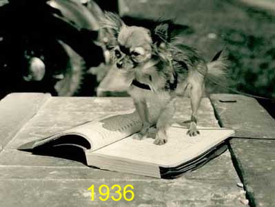 1936 1936