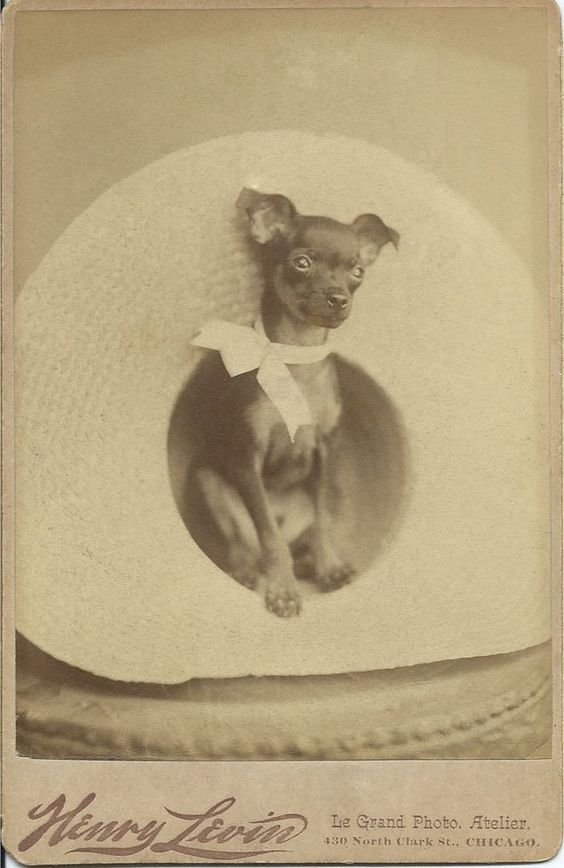 early Very early 1900 early Very early 1900