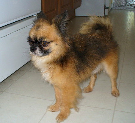 Tucson at 4 year Tucson at 4 year